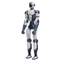 r1_1